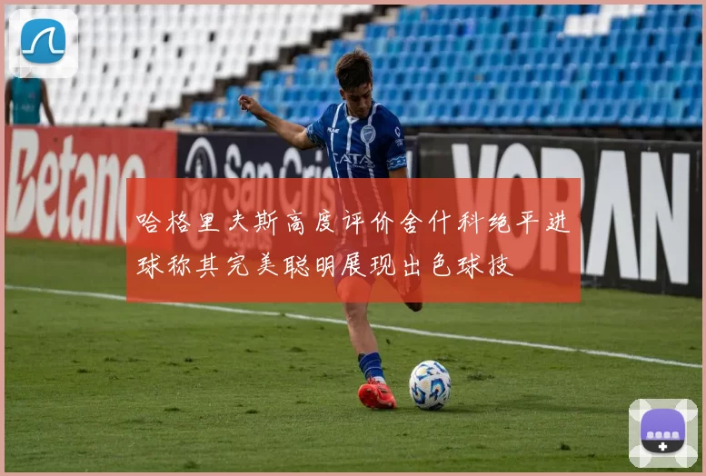 哈格里夫斯高度评价舍什科绝平进球称其完美聪明展现出色球技